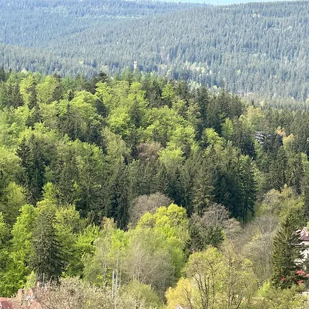 6 Mountain View דירה